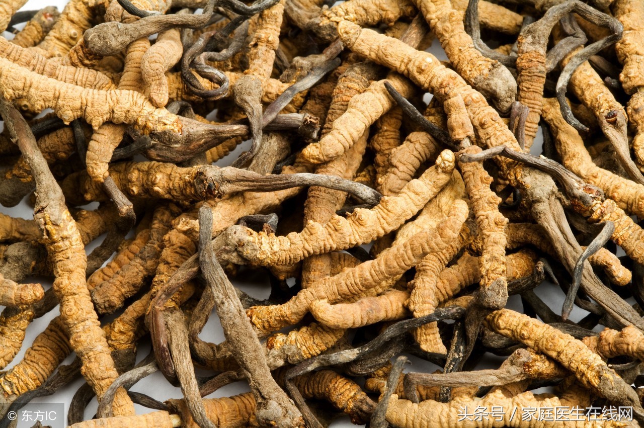 为什么有些冬虫夏草那么便宜,冬虫夏草为什么难卖