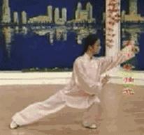 太极二十四式入门基本动作,太极入门学24式吗