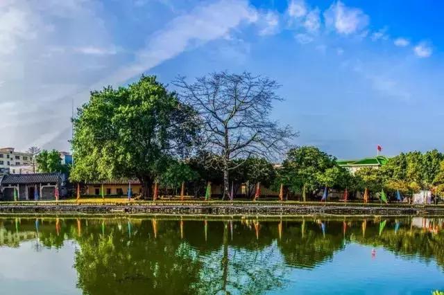 广州旅游景点推荐团购,春节广州有哪些好玩的景点推荐