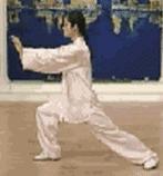 太极二十四式入门基本动作,太极入门学24式吗