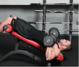 哑铃训练动作大全练全身初学者,哑铃练全身新手哑铃训练计划