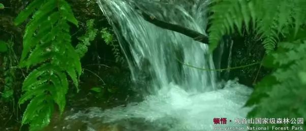 芳华的取景地云南蒙自,云南蒙自市芳华拍摄地