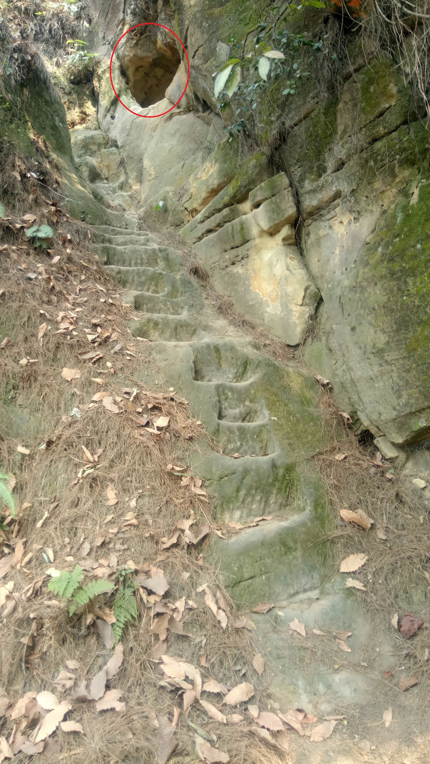 纯天然氧吧是锻炼的好地方,天然氧吧骑行好去处