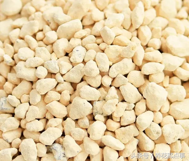 盆栽板结的土壤怎样改良,盆栽土种什么防止板结