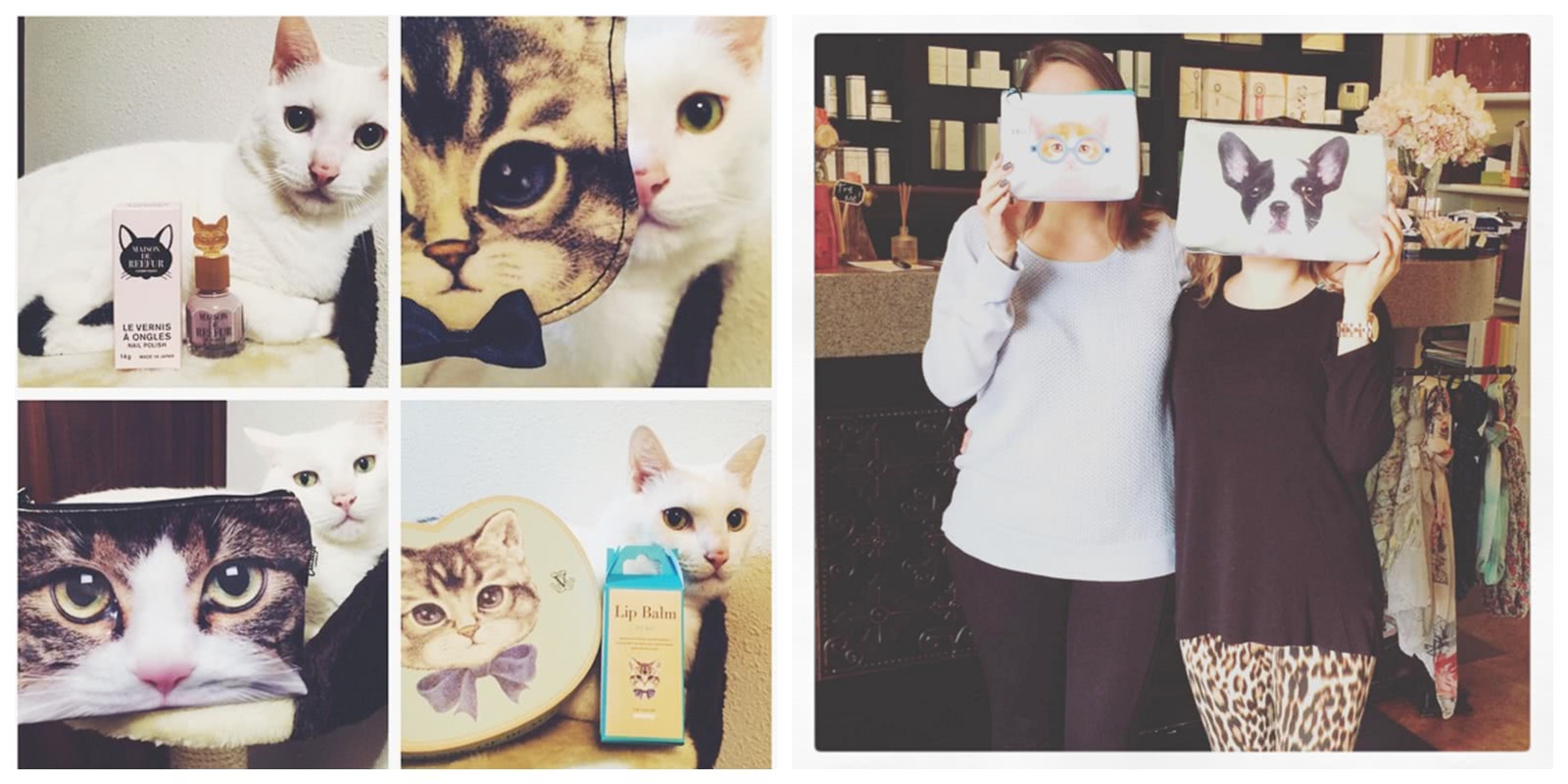 适合猫猫的猫包 (猫咪比较适合的猫包)