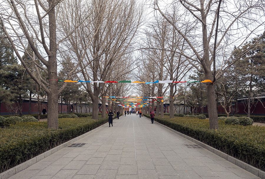 雍和宫朝圣之旅地图,雍和宫拜访年轻人