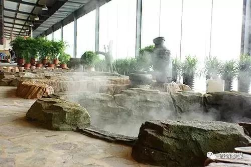 长春周边森林里的温泉有哪些,长春适合亲子度假的温泉