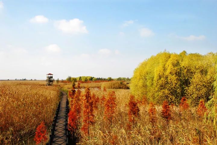 春节上海深度游玩攻略,上海春节游玩攻略老城区