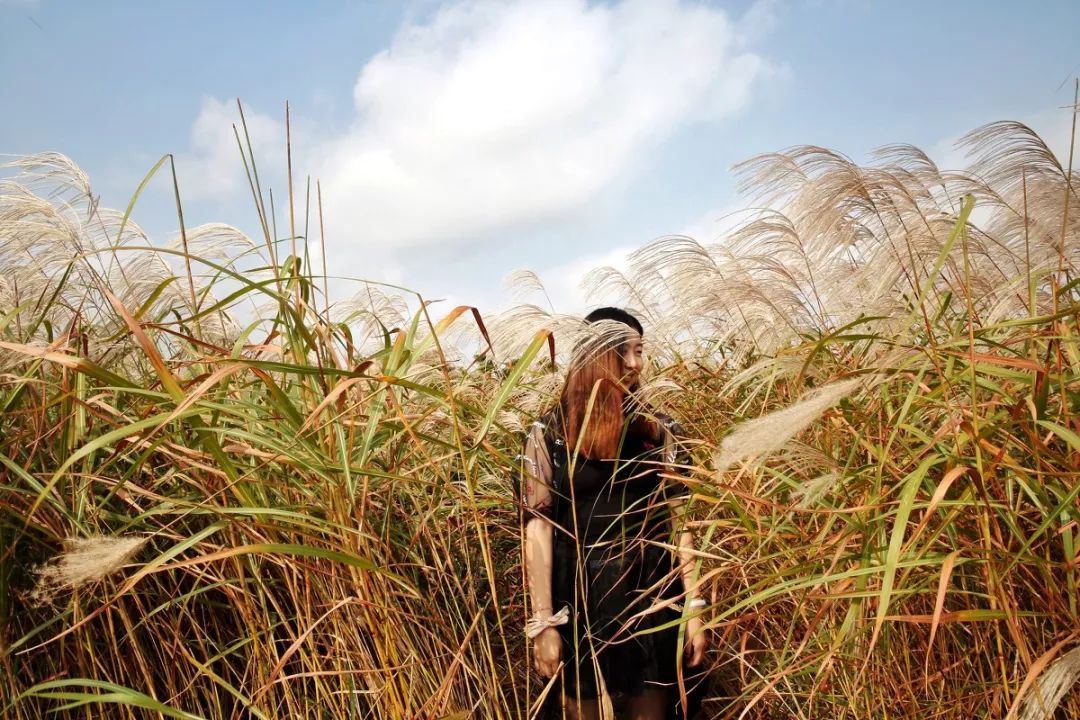 土著带你游东京,土著带你游重庆