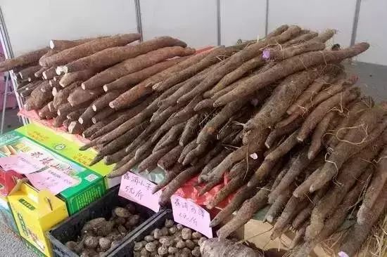 假期返程特产,春节返程带的家乡特产