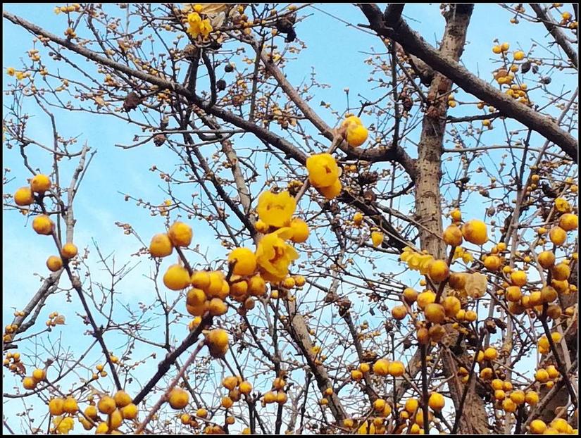 鹿泉道观十方院,鹿泉十方院最新视频