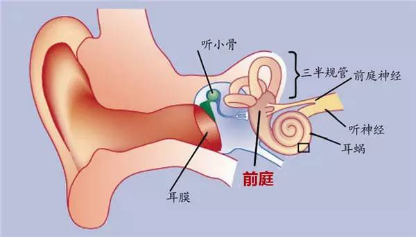 春节晕车怎么解决呢,春运晕车这5个方法是晕车克星