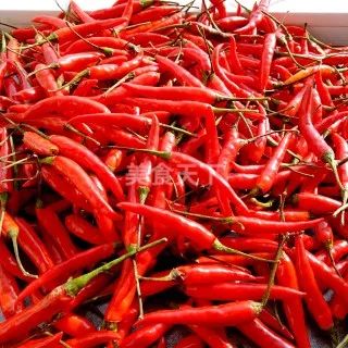 独特的秘制调料吃起来就是香,50种秘制酱汁做法教学视频