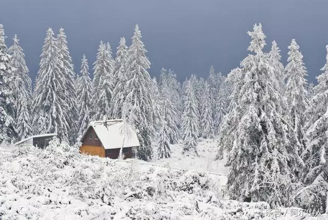 雪藏原版是谁,雪藏哪年出的歌