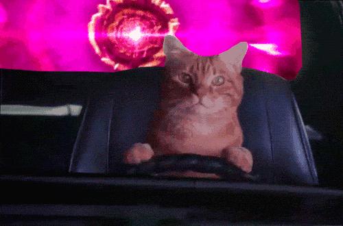 315快来了该怎么投诉,315真的帮你维权吗