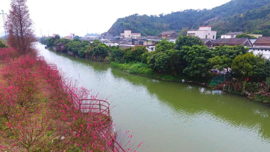 还未脱单？元宵前去东湾村吧，邂逅浪漫！