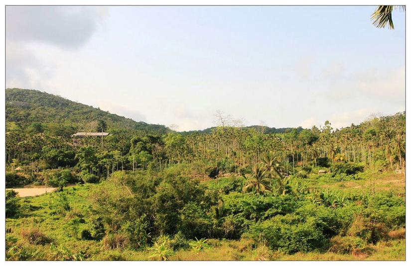 海南三亚槟榔谷的美景,三亚槟榔谷游记