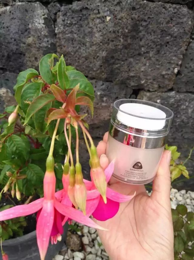 新西兰送礼简单,新西兰送的礼物