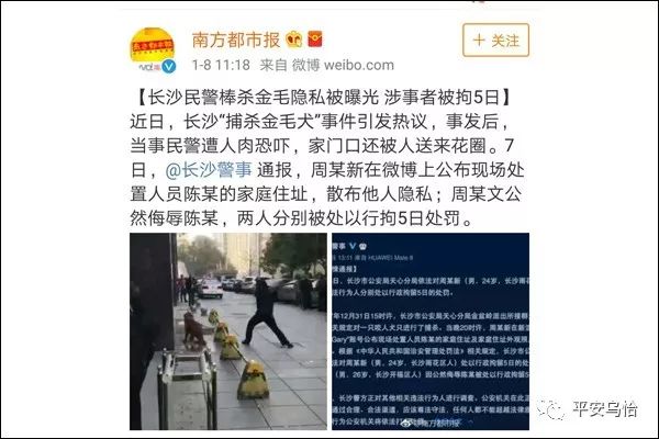 戊戌年属狗今年多大岁数,戊戌年下半年狗人运势