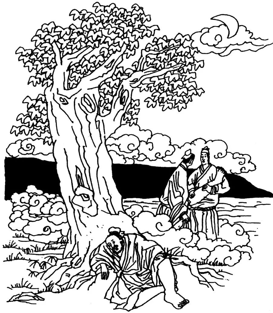 典藏鞋,典藏版鉴赏靴