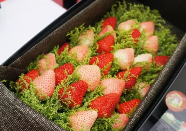 梅时莓刻惊蛰春！这一份青浦春游完整版攻略请收好~