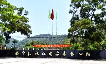 南宁景点热门视频排行榜,南宁十大好玩的免费景点