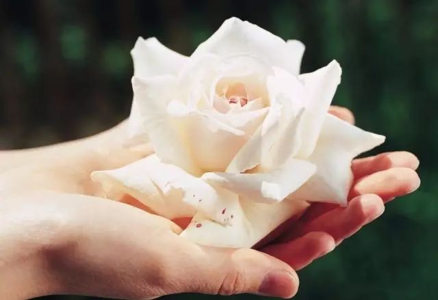 女性每天跑步能预防几种癌症,怎么预防女性癌症