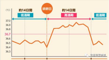 刚生育的女性要注意什么,有生育要求的女性