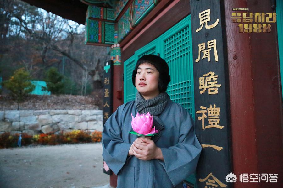 请回答1988在韩剧tv怎么看不了了,请回答1988韩剧在线观看完整tv网