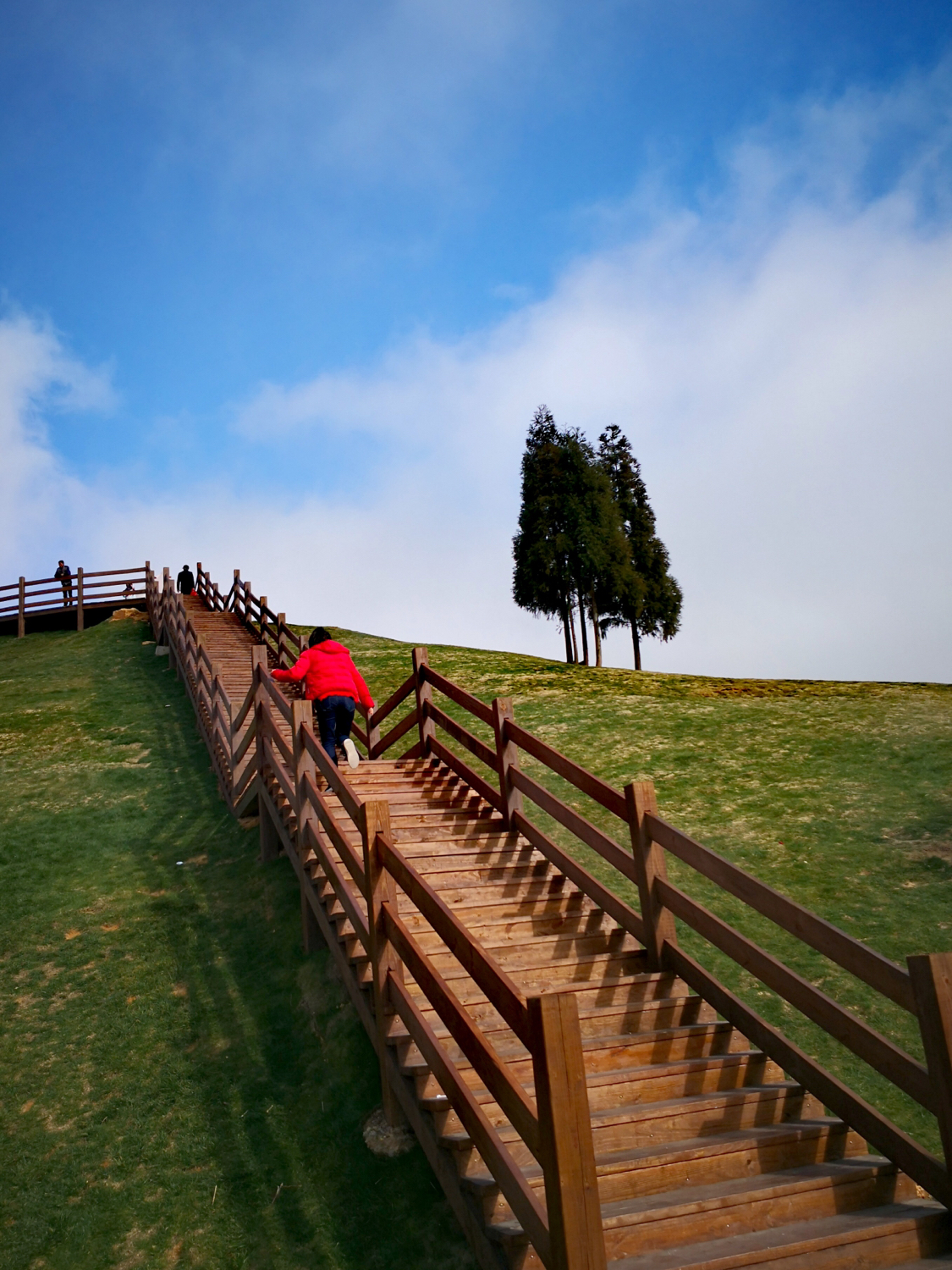 温州三八节免费景点,三八节好玩的地方温州