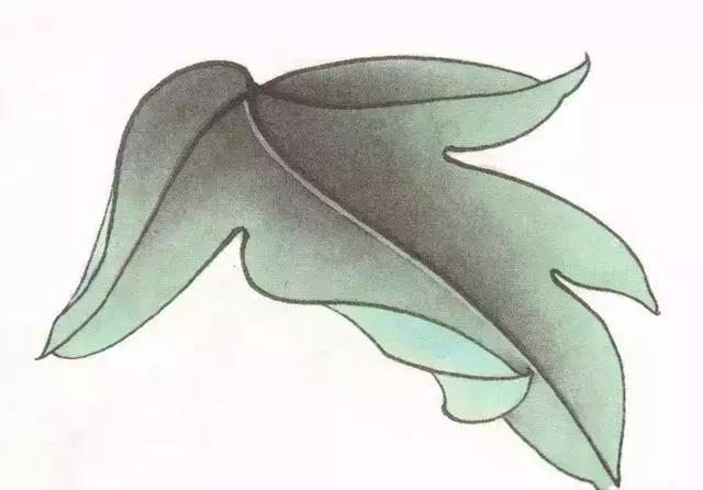 工笔画粉红花染色步骤,10分钟学会工笔画花朵染色