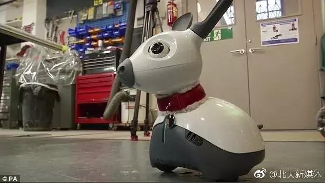 看门狗十大必备事情,看门狗开门锁