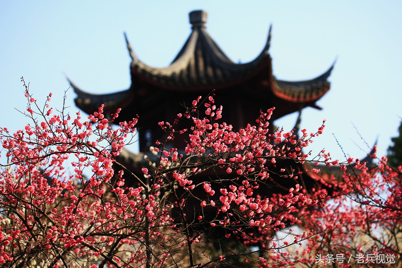从大连到杭州上海苏州,大连到杭州旅行