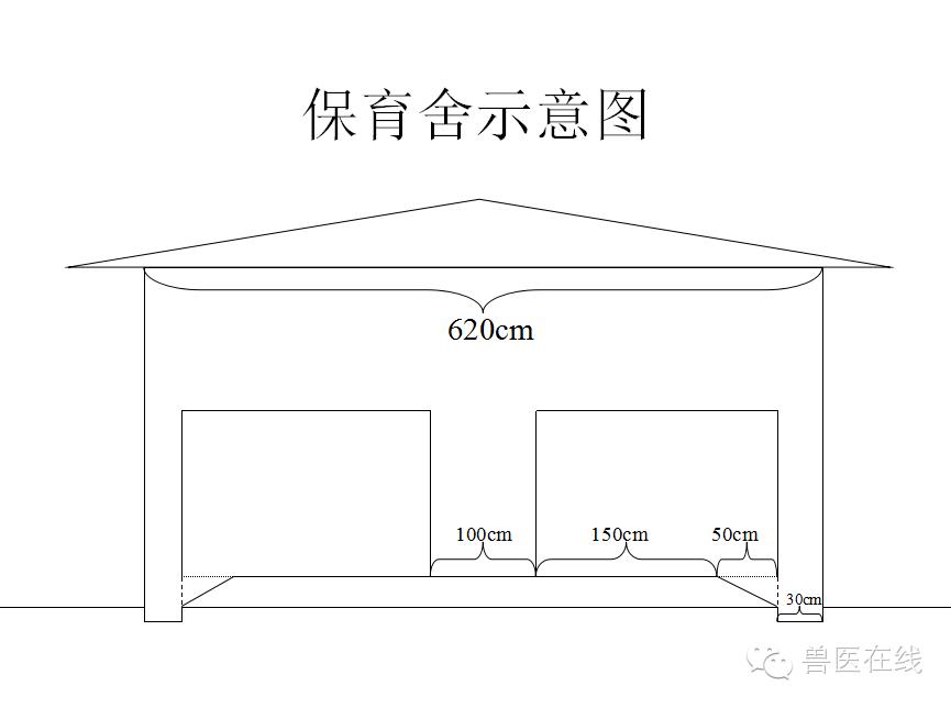 猪场刮粪机排粪沟设计图,100头母猪猪场设计图