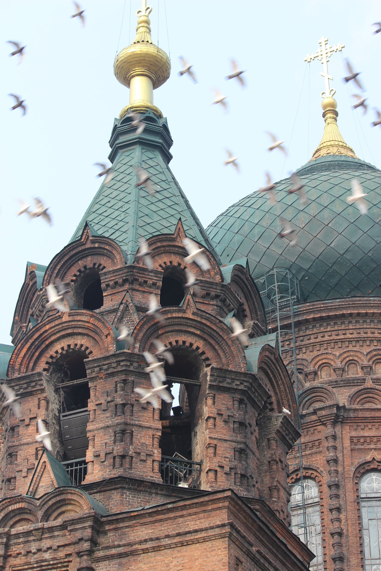 往事成烟---日本人三好武男先生和我的家乡北甸村