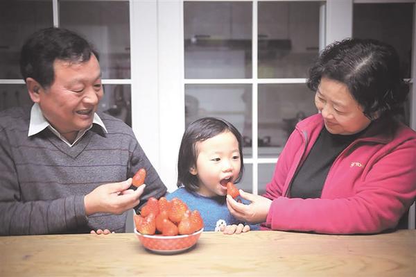 把爱带回家主题手工,把爱带回家的手工