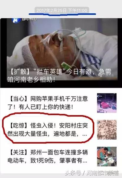 河南什么地方出现大量黑虫,河南村民发现红色线虫