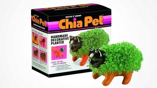 十大让人不可思议的玩具,十款爆火的玩具