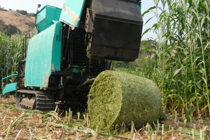 大青贮收获机,大型青贮收获机
