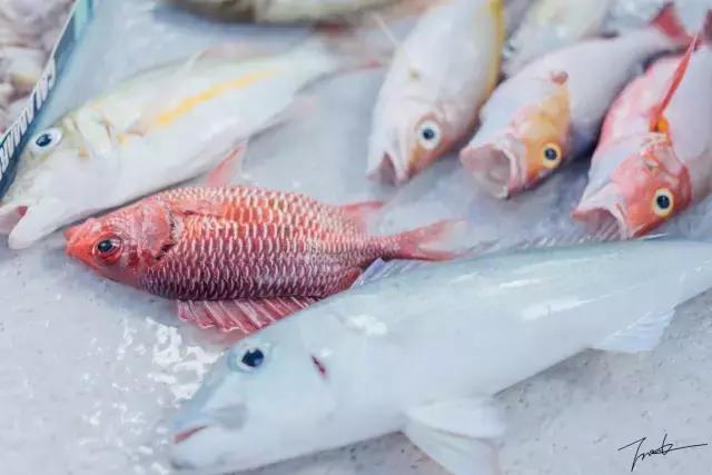 帕劳深度游出海,帕劳深潜体验