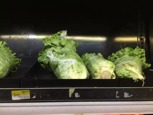 帕劳群岛隐藏攻略,帕劳旅游的优点和缺点