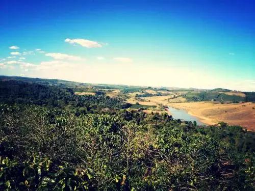 王俊凯的乳味饮品,王俊凯同款红茶加纯牛奶