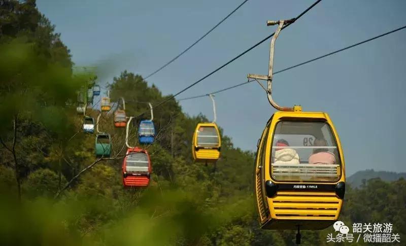 接招吧！开趴，其实还可以这Young过！