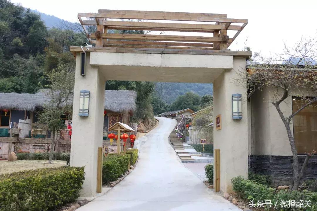 接招吧！开趴，其实还可以这Young过！