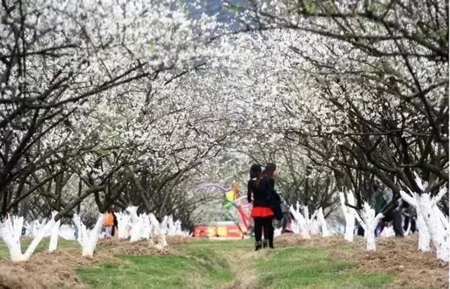 滚蛋吧,春困君!广东这些花花世界让你秒变龙马精神!
