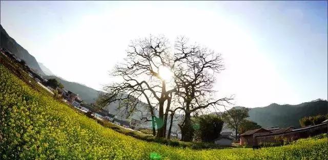 避开人潮去旅游,避开人潮的度假