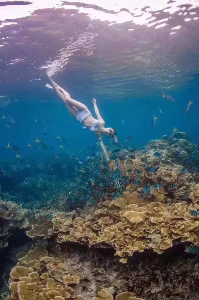 帕劳群岛隐藏攻略,帕劳旅游的优点和缺点