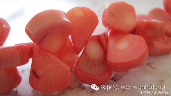 红珊瑚介绍方法,红珊瑚识别方法