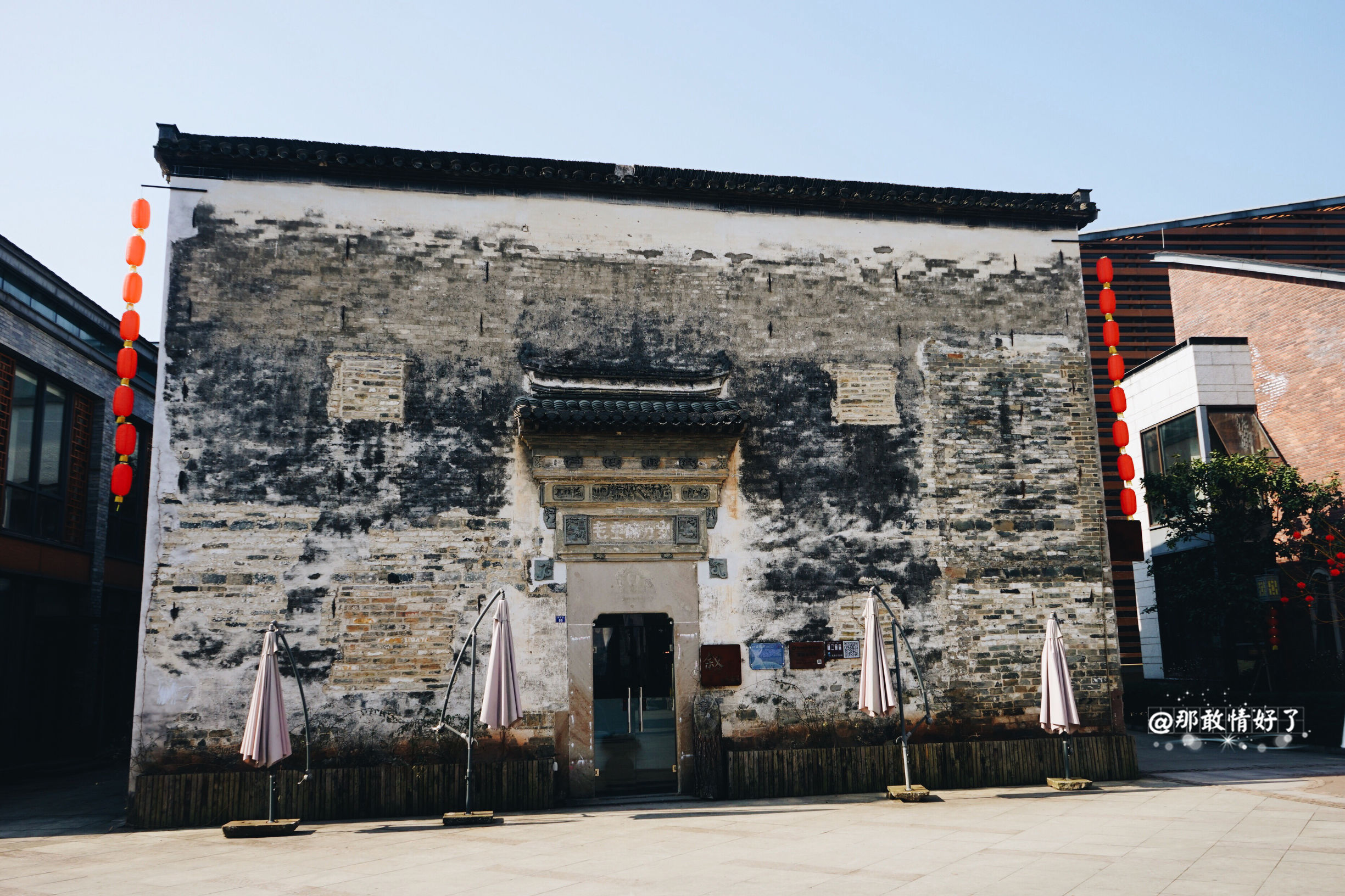 一家三口去南极旅行 (中国一家三口去南极旅游)