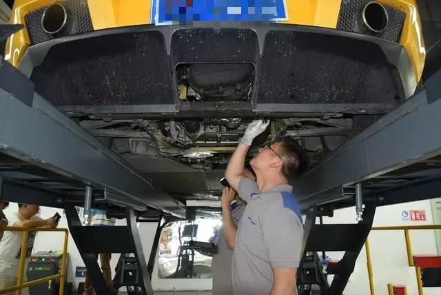 兰博基尼小牛盖拉多视频,兰博基尼